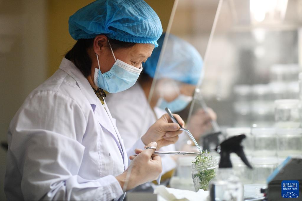 ?????? ????? ???? ??????? ?? ?????