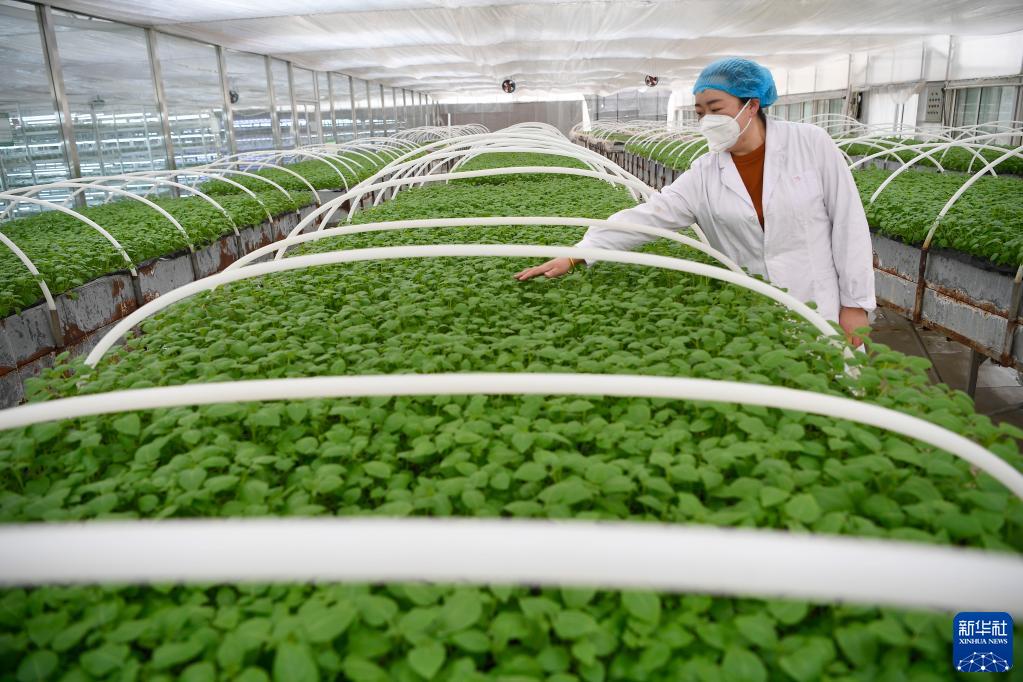 ?????? ????? ???? ??????? ?? ?????