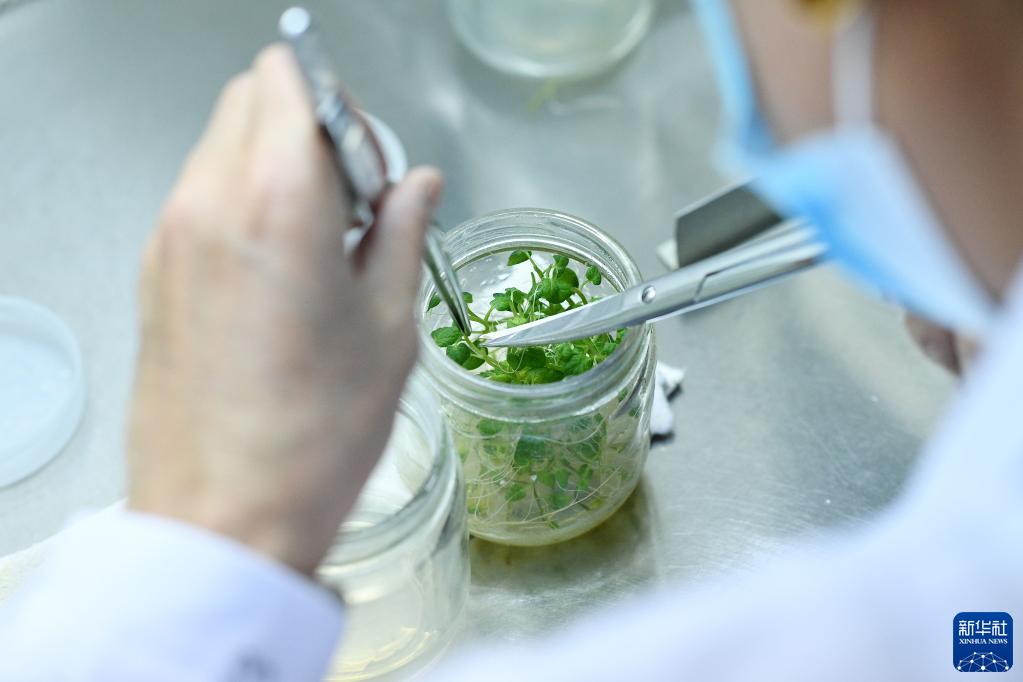 ?????? ????? ???? ??????? ?? ?????