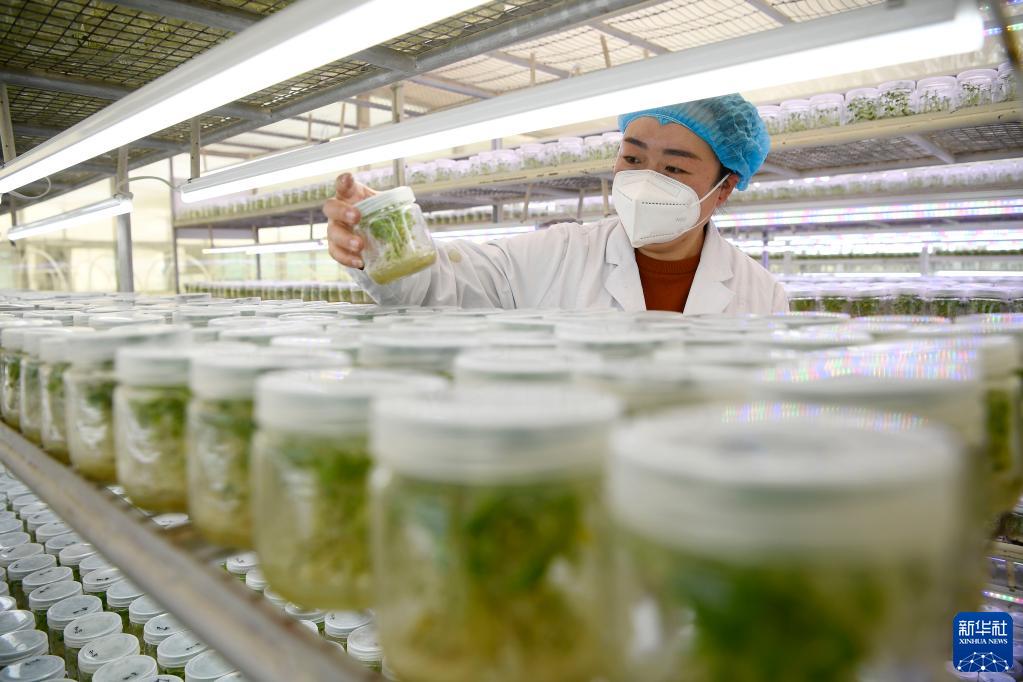 ?????? ????? ???? ??????? ?? ?????