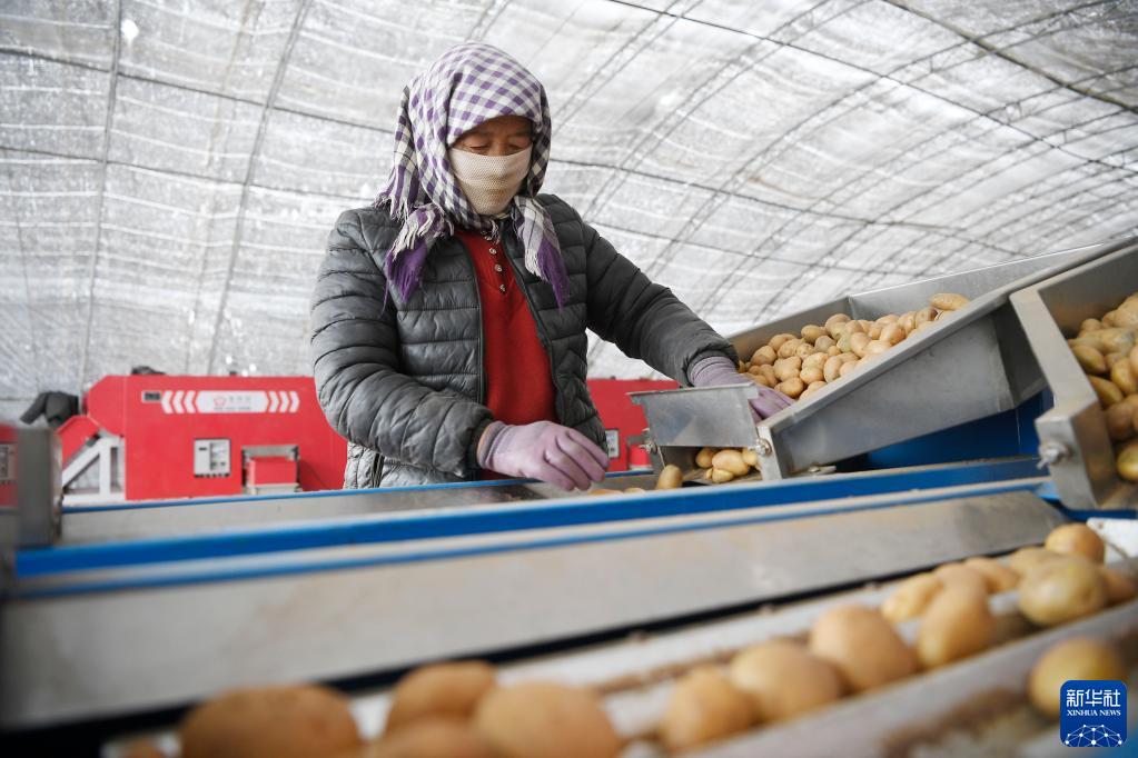 ?????? ????? ???? ??????? ?? ?????