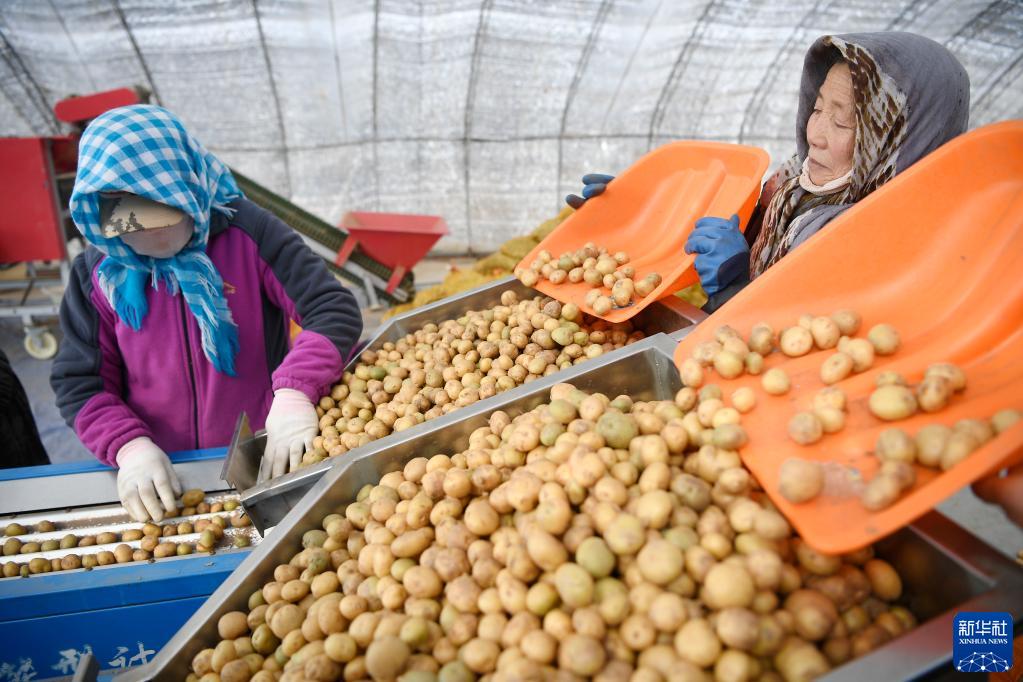 ?????? ????? ???? ??????? ?? ?????