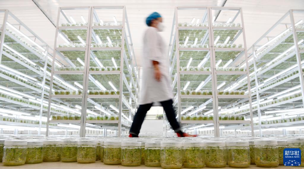 ?????? ????? ???? ??????? ?? ?????