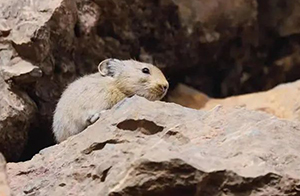 ???? ???? ???????? ?????? ????????? ??????? ????? ?? ???????