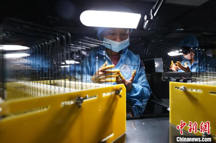 ????? (??????) ???? ???? ????? ??????? ?????? ???????