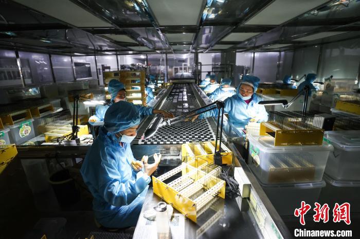 ????? (??????) ???? ???? ????? ??????? ?????? ???????