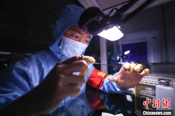 ????? (??????) ???? ???? ????? ??????? ?????? ???????