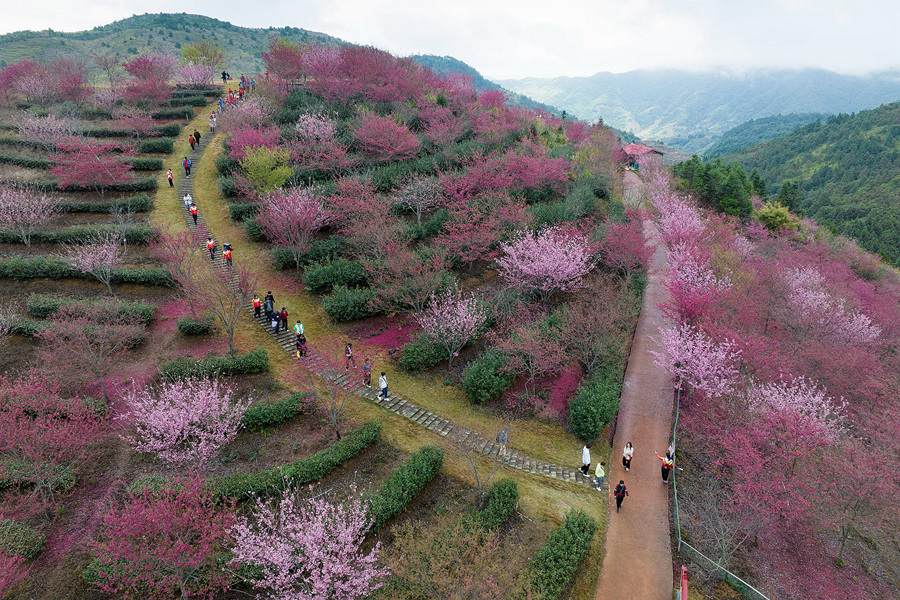 ?????????????????: ????? ?????? ???? ???? ????? ??????? ??????? ?? ??? ??????