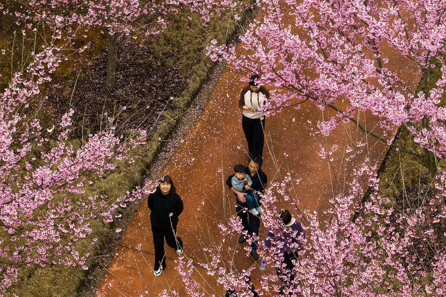 ?????????????????: ????? ?????? ???? ???? ????? ??????? ??????? ?? ??? ??????