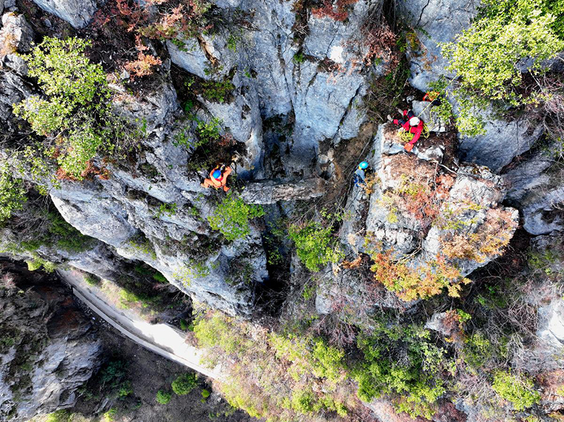 ????? ????: ????? ?????? ?? ????? ????? ?????? ?? ???? ?????? ?????? ???????