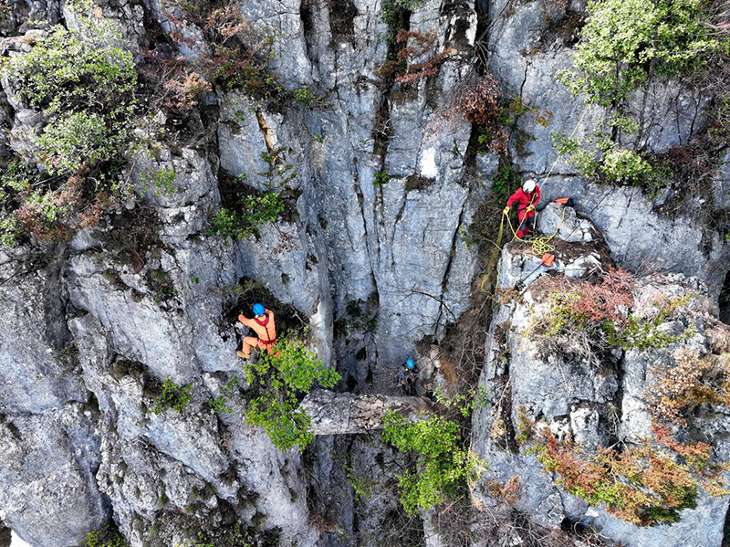 ????? ????: ????? ?????? ?? ????? ????? ?????? ?? ???? ?????? ?????? ???????