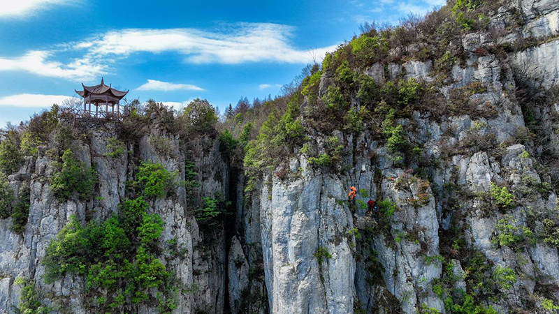 ????? ????: ????? ?????? ?? ????? ????? ?????? ?? ???? ?????? ?????? ???????