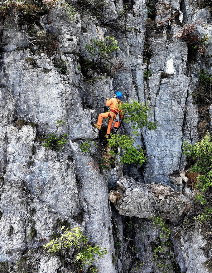 ????? ????: ????? ?????? ?? ????? ????? ?????? ?? ???? ?????? ?????? ???????