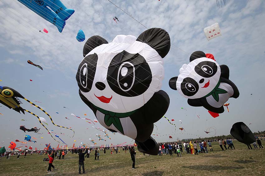 ??????? ????? ?????? ???????? ???????