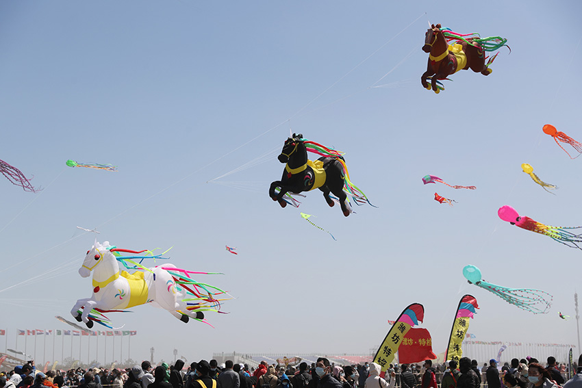 ??????? ????? ?????? ???????? ???????