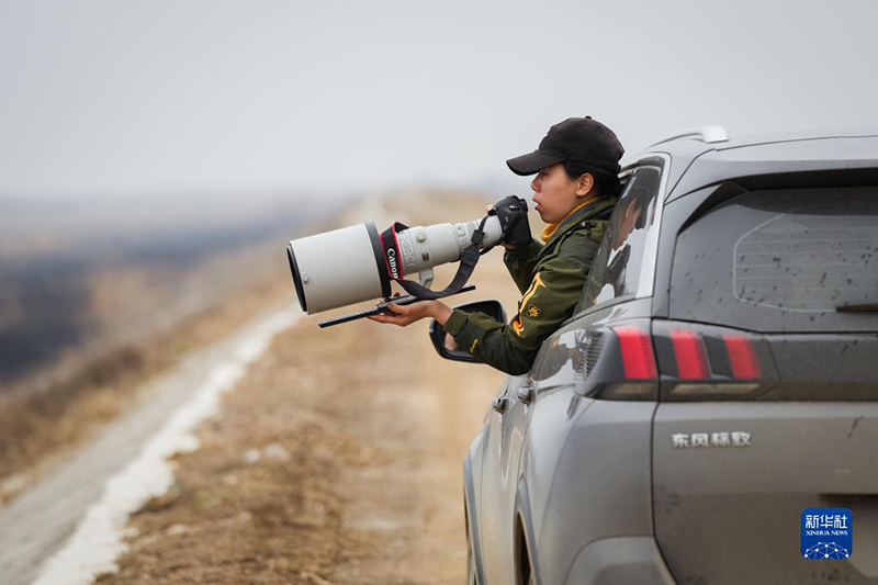 ???? ???? ?????? ??????