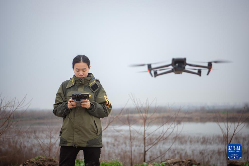 ???? ???? ?????? ??????