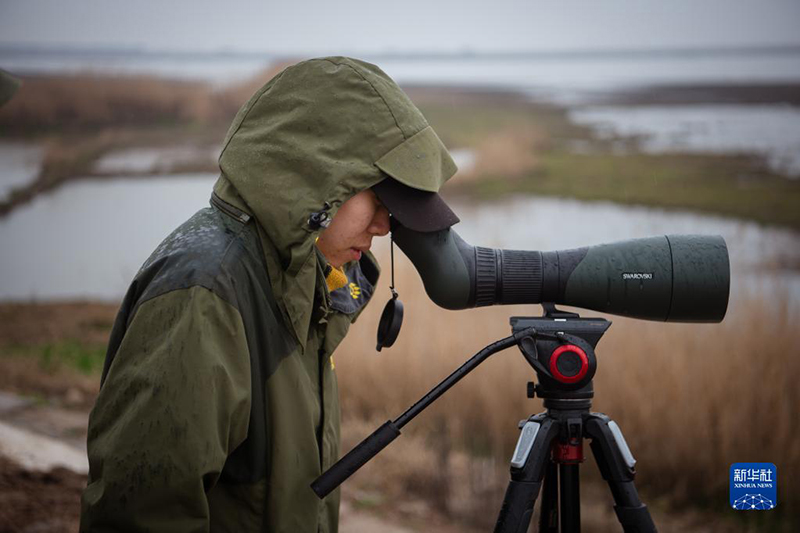 ???? ???? ?????? ??????