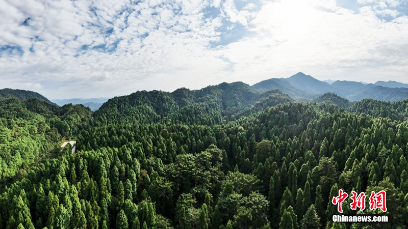 ????? 3.83 ????? ????? ?? ??????? ?? ????? ????? ??????