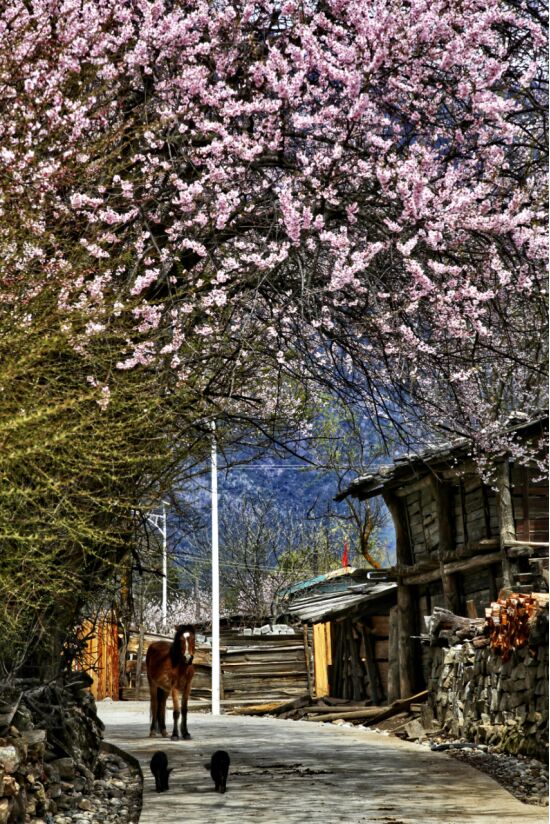 ??????? ??????? ??????? ?? ?????? ??????? ?? ?????? ????? ???????????? ??? ?????