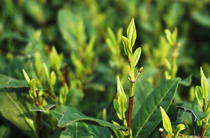 ?????? ??????? ?????? ??? ????? ??? ????????