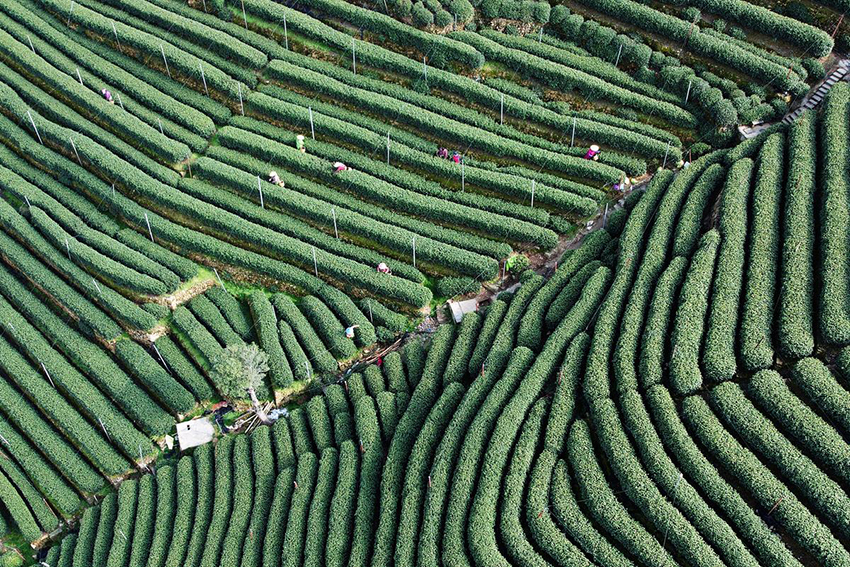 ?????? ??????? ?????? ??? ????? ??? ????????