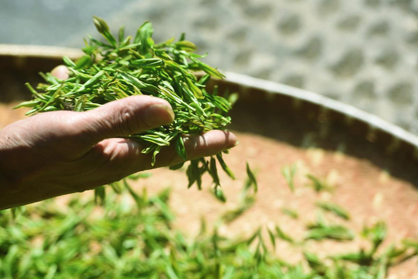 ?????? ??????? ?????? ??? ????? ??? ????????