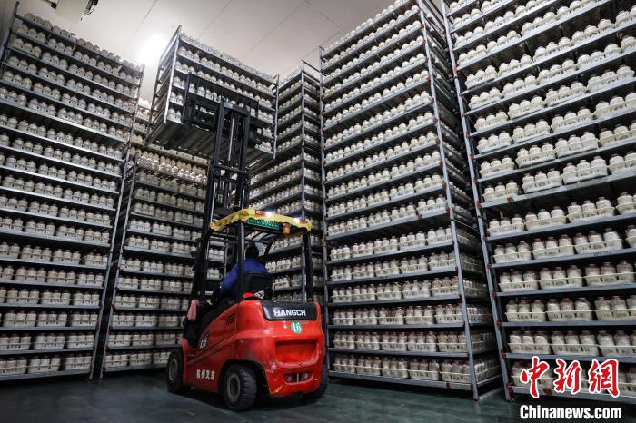 ??????? ??????: ????? ????? ?????? ????? ???? ????? ????? ????? ?? ?????