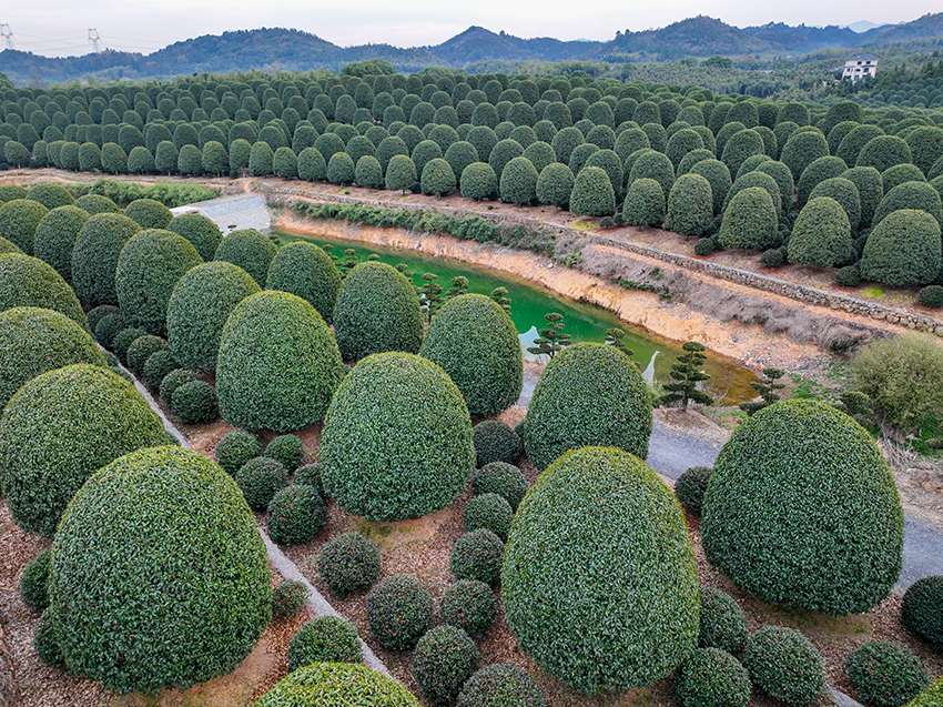 ????? ?????? ??????? ?? ???? ??????? ???? ?? ????? ????? ????????? ????????