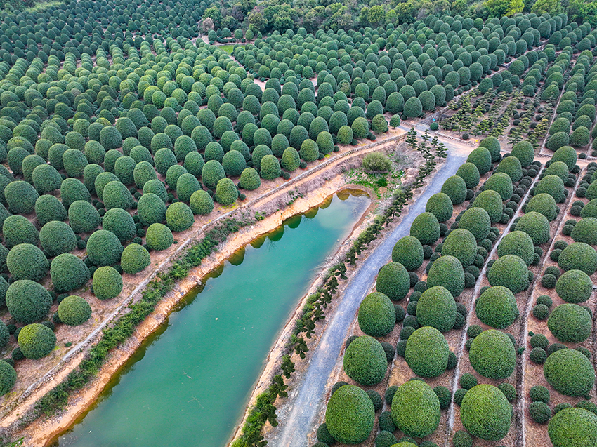 ????? ?????? ??????? ?? ???? ??????? ???? ?? ????? ????? ????????? ????????