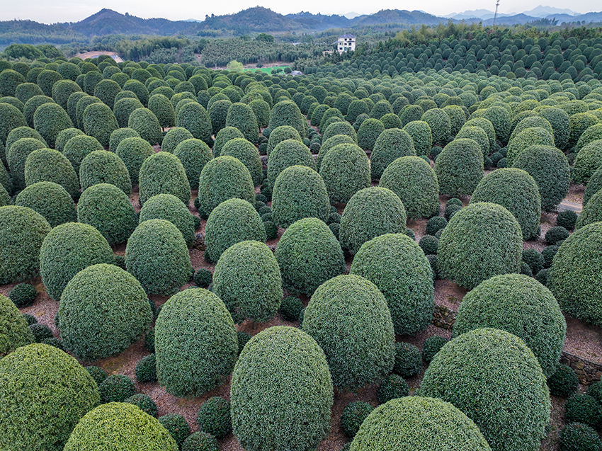 ????? ?????? ??????? ?? ???? ??????? ???? ?? ????? ????? ????????? ????????