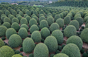 ????? ?????? ??????? ?? ???? ??????? ???? ?? ????? ????? ????????? ????????