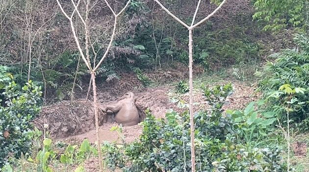 ?? ??????? ??? ???? ???? ?????? ??????