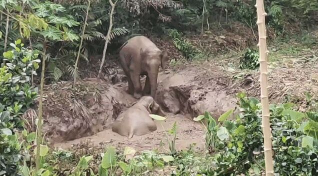 ?? ??????? ??? ???? ???? ?????? ??????