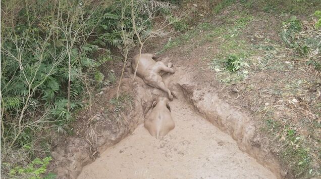 ?? ??????? ??? ???? ???? ?????? ??????