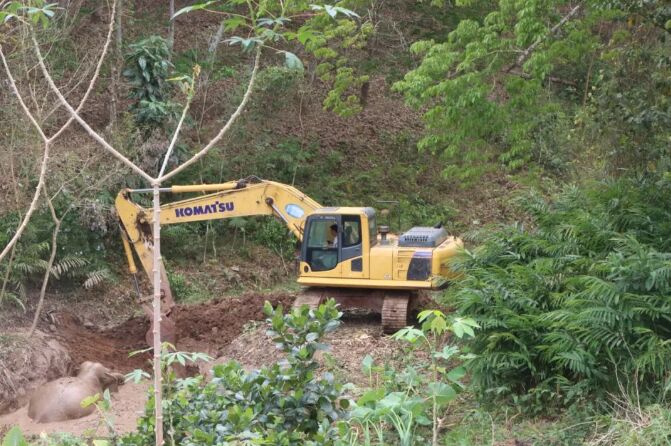 ?? ??????? ??? ???? ???? ?????? ??????