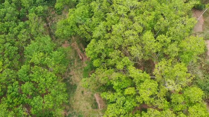 ?? ??????? ??? ???? ???? ?????? ??????