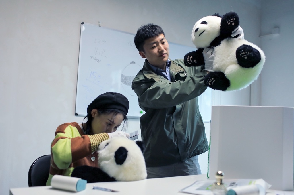 ?????? .. ??? ????? ?????? ????? ????? ???? ??? ???? ?? 50 ???? ??????