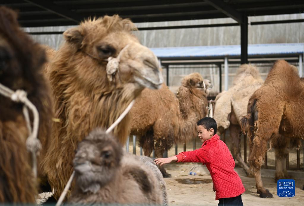 ????????? ?????? ?? ?????? (????????) ????? ???? ????? ?? ?????