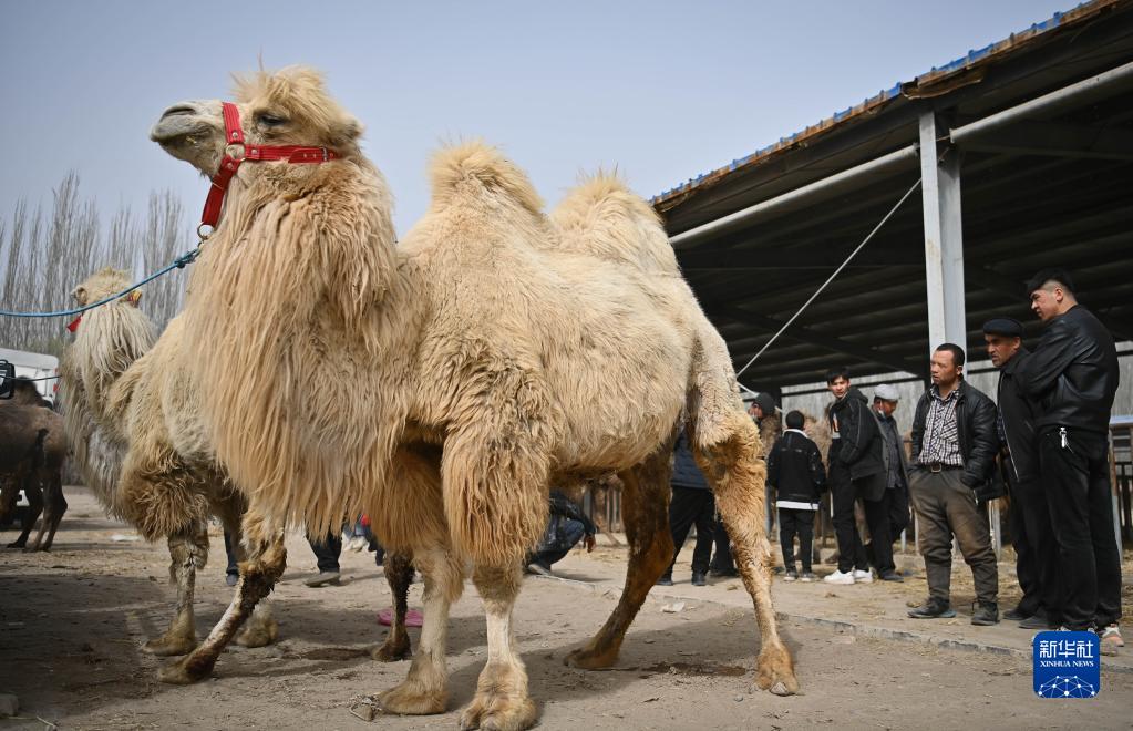 ????????? ?????? ?? ?????? (????????) ????? ???? ????? ?? ?????