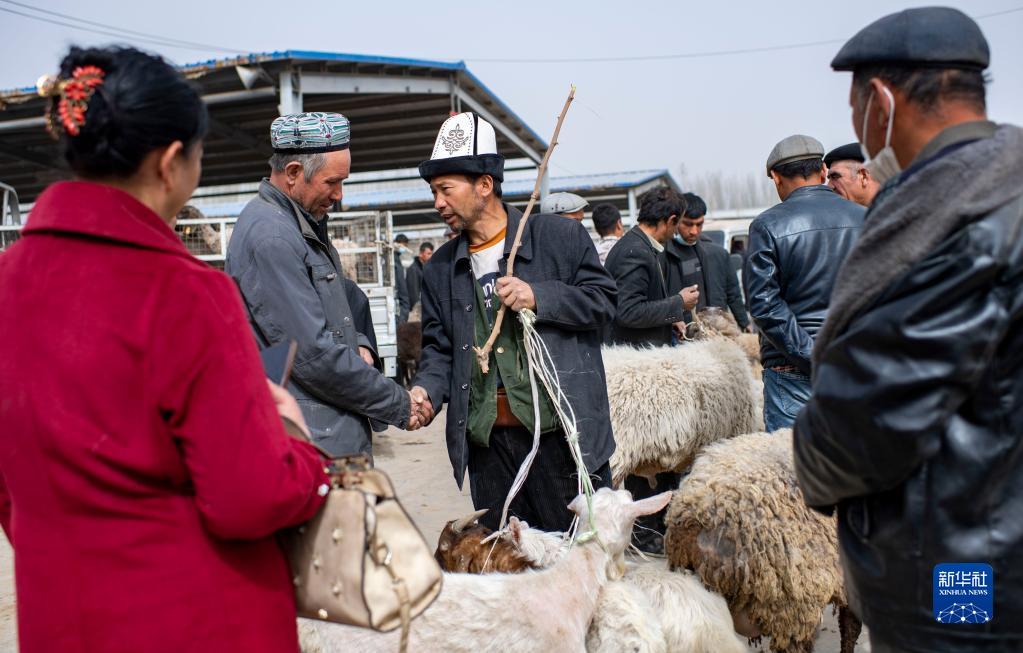 ????????? ?????? ?? ?????? (????????) ????? ???? ????? ?? ?????