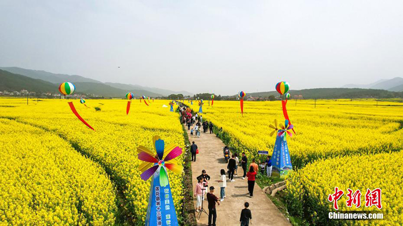 ????? ??????: ???? ??? ?????? .. 