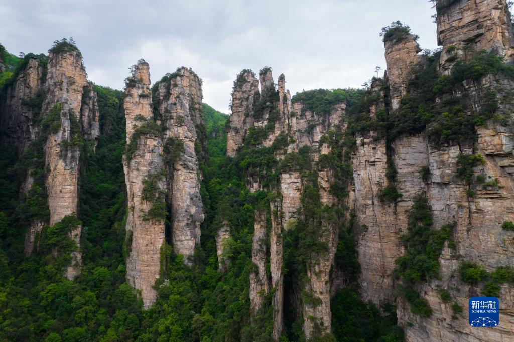 ????? ????? ?????? ?????? ?? ???? ??? ??? ??? ?????