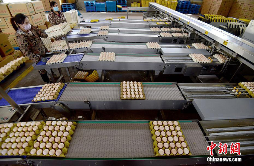 ????? ?????? ???????? ???? 2.7 ????? ???? ?????