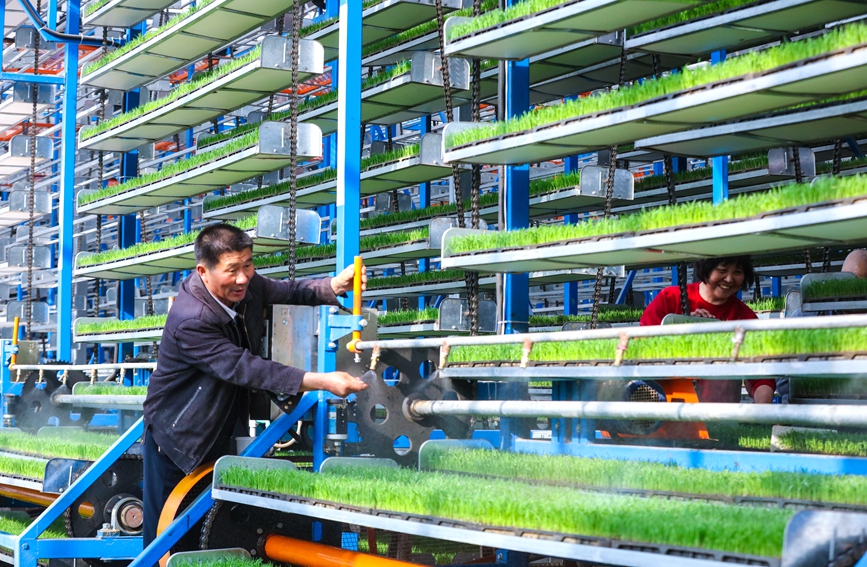 ?????? ???????? (????) ??????? ????? ????? ???????