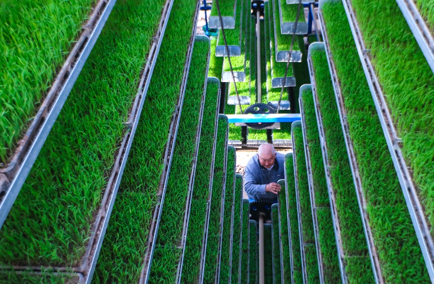 ?????? ???????? (????) ??????? ????? ????? ???????