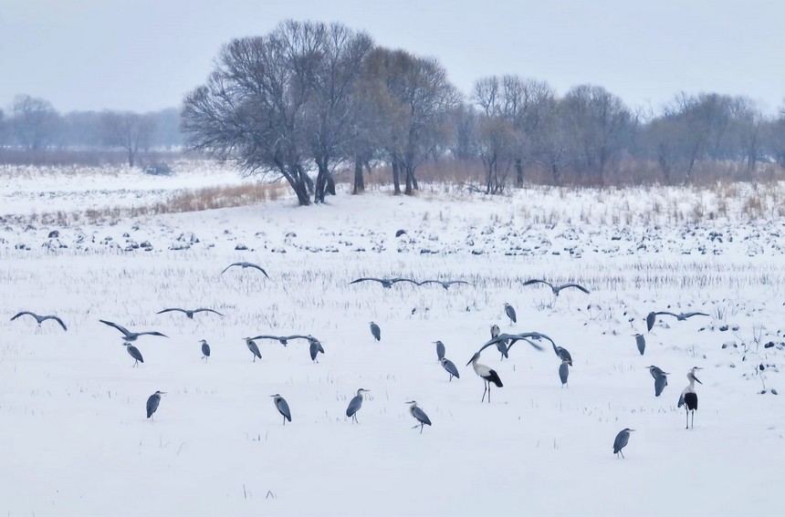 ?????? ???????? ?? ??????? ?????? ???? ????? ??? ???? ??? ??????