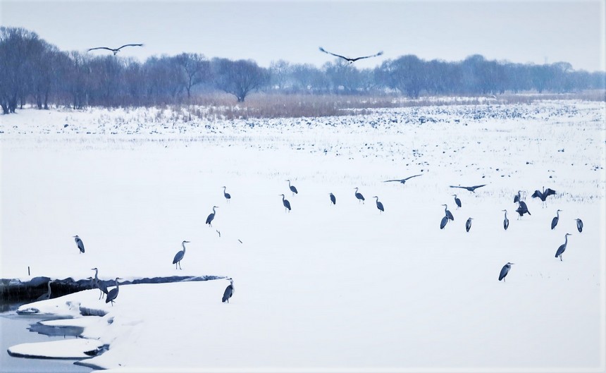 ?????? ???????? ?? ??????? ?????? ???? ????? ??? ???? ??? ??????