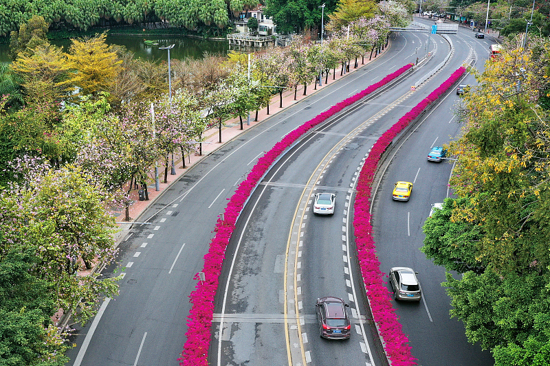 ?? ????? ??????? ???????.. ???? ??? 