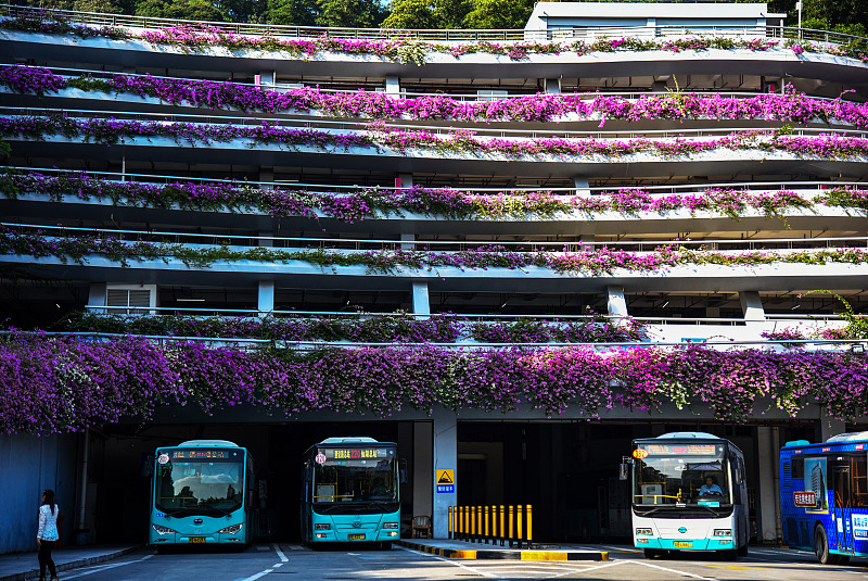 ?? ????? ??????? ???????.. ???? ??? 